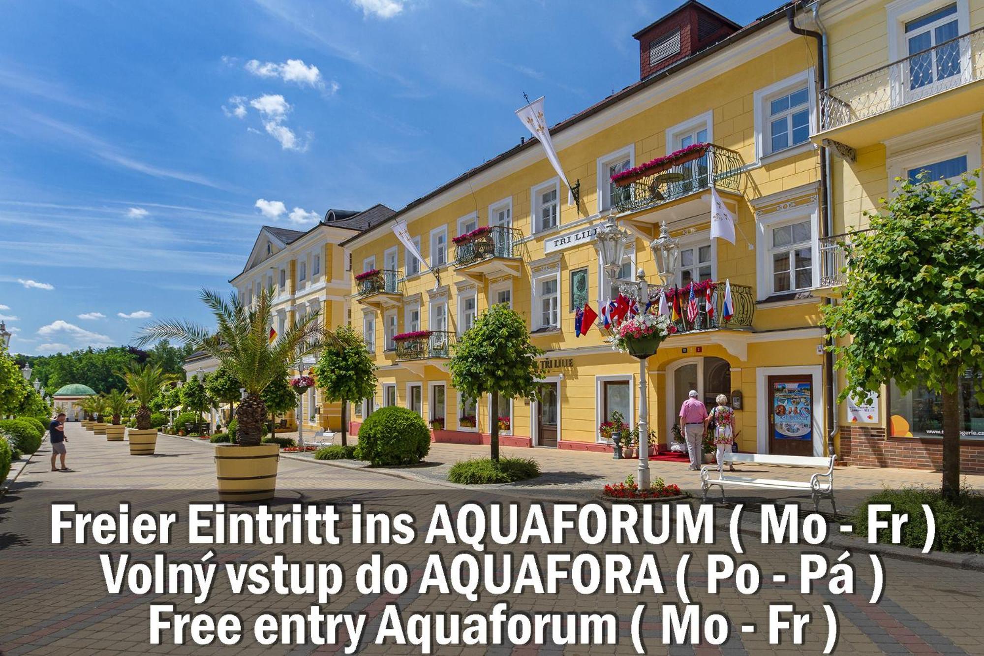 Hotel Three Lilies Inkl Aquaforum Františkovy Lázně Εξωτερικό φωτογραφία